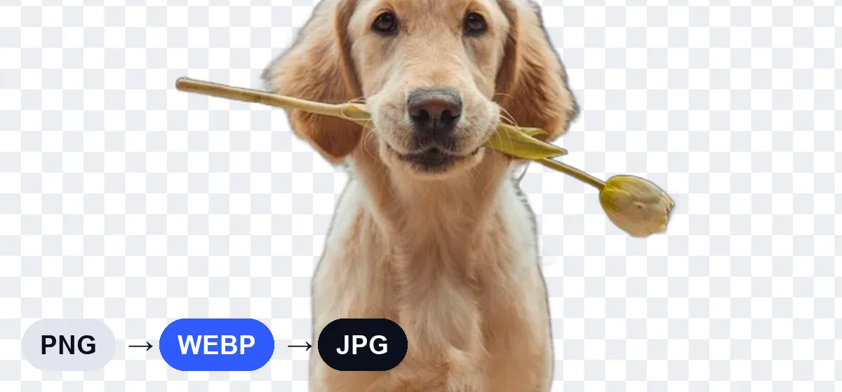 Image Converter example result